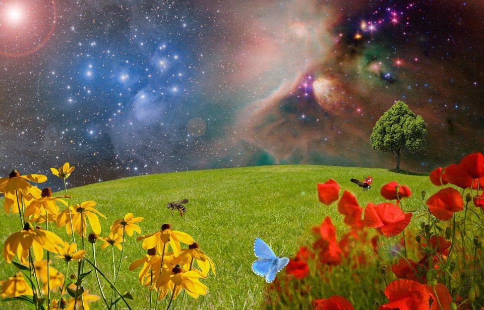 green meadow with flowers in space
