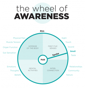 wheel of awareness